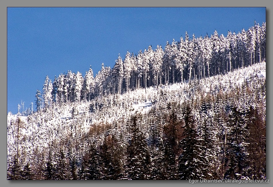 Snow covered mountain