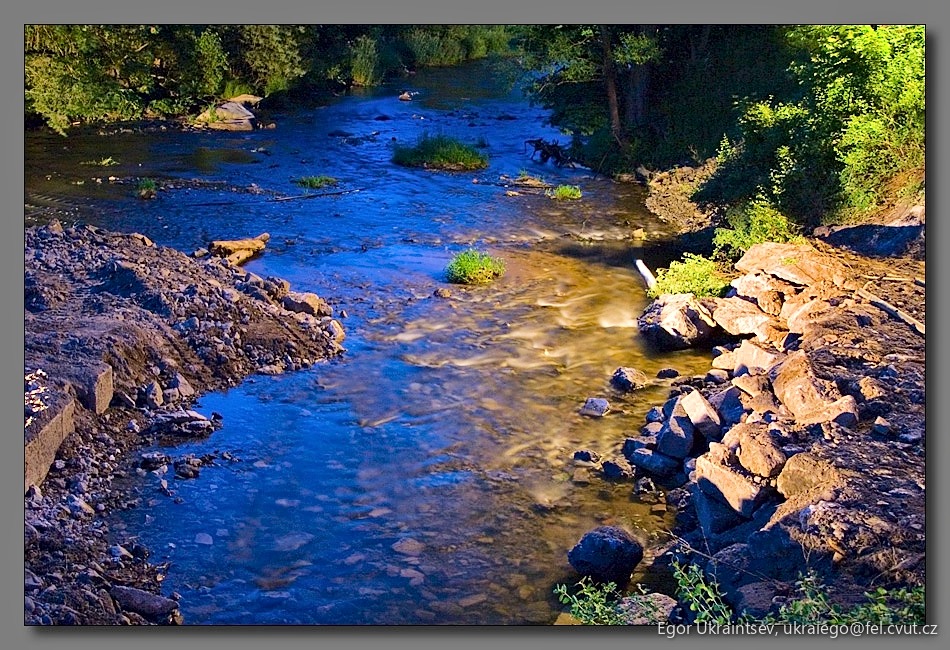 River in the woods
