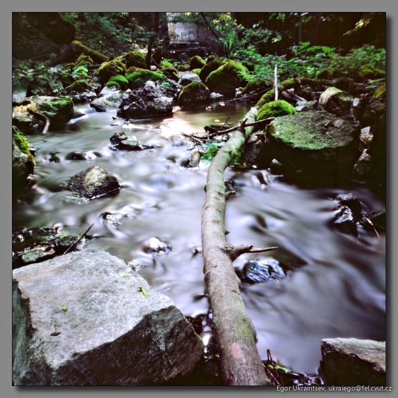 Stream in the forest