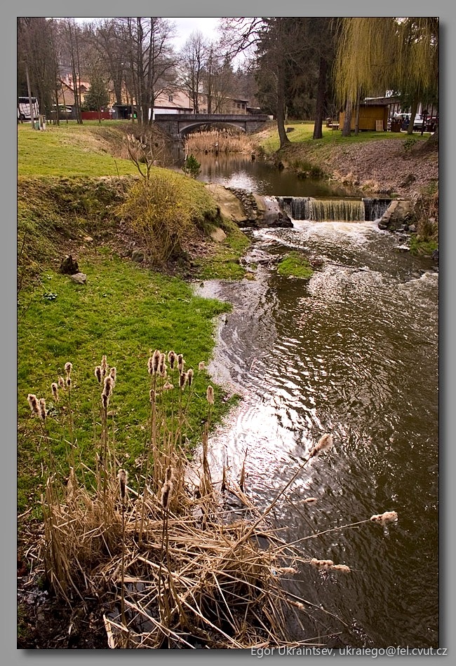 Small stream in a park