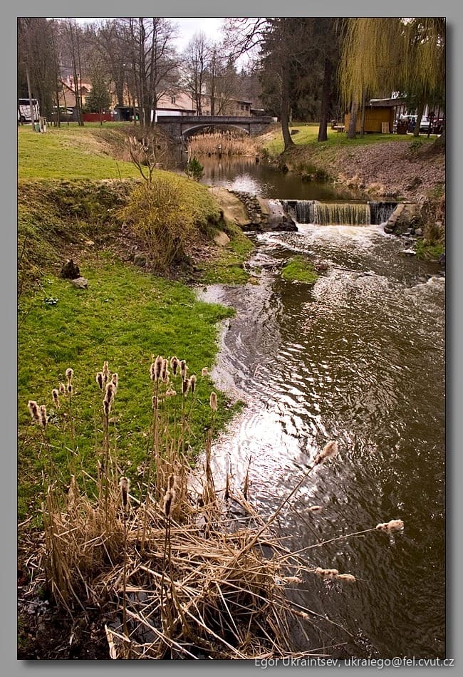 Small stream in a park