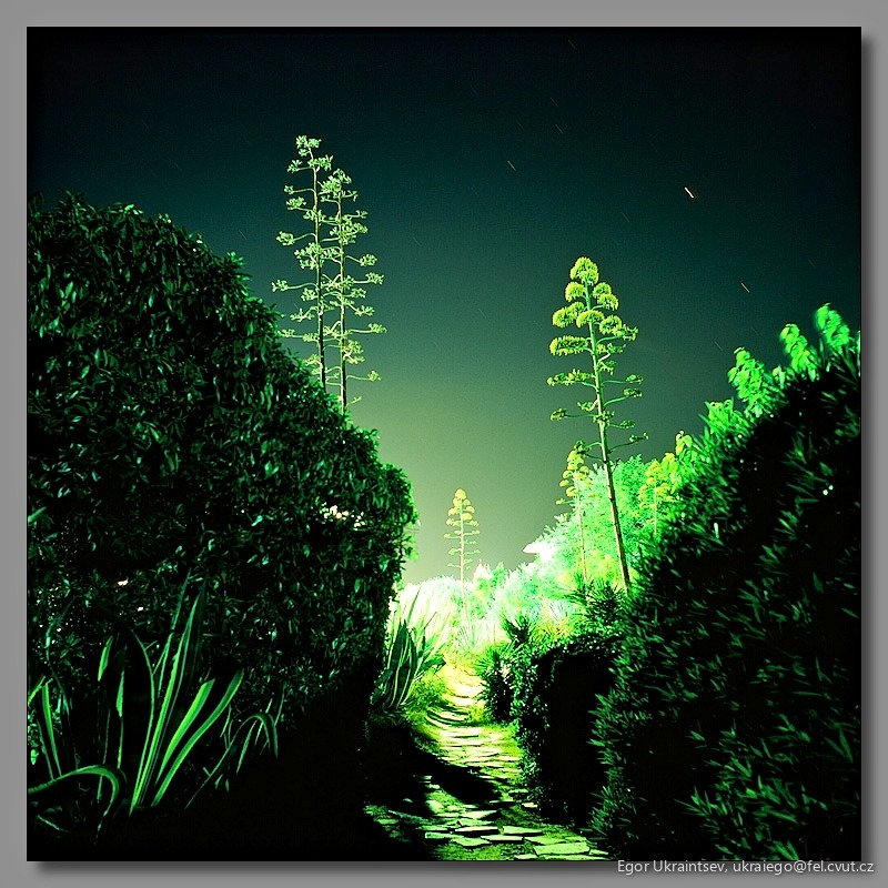 Path at night