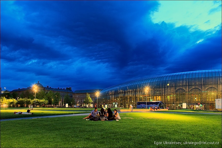 People sitting on the grass