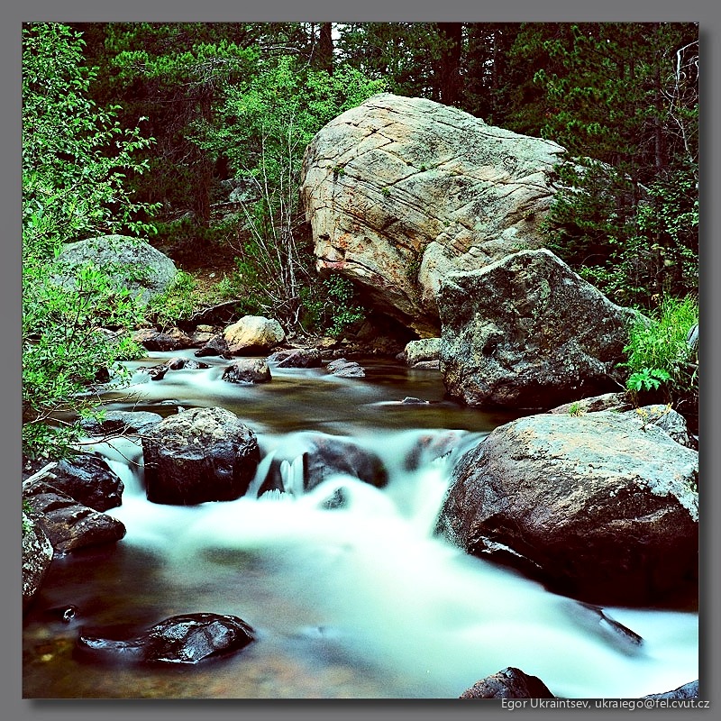River in the woods
