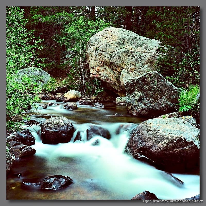 River in the woods