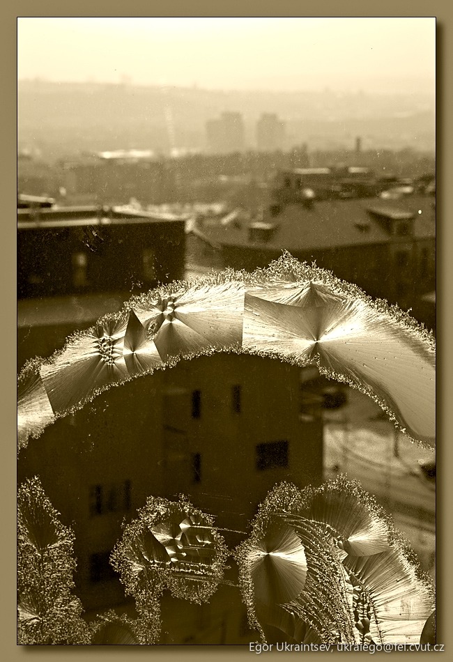 Broken window with a view