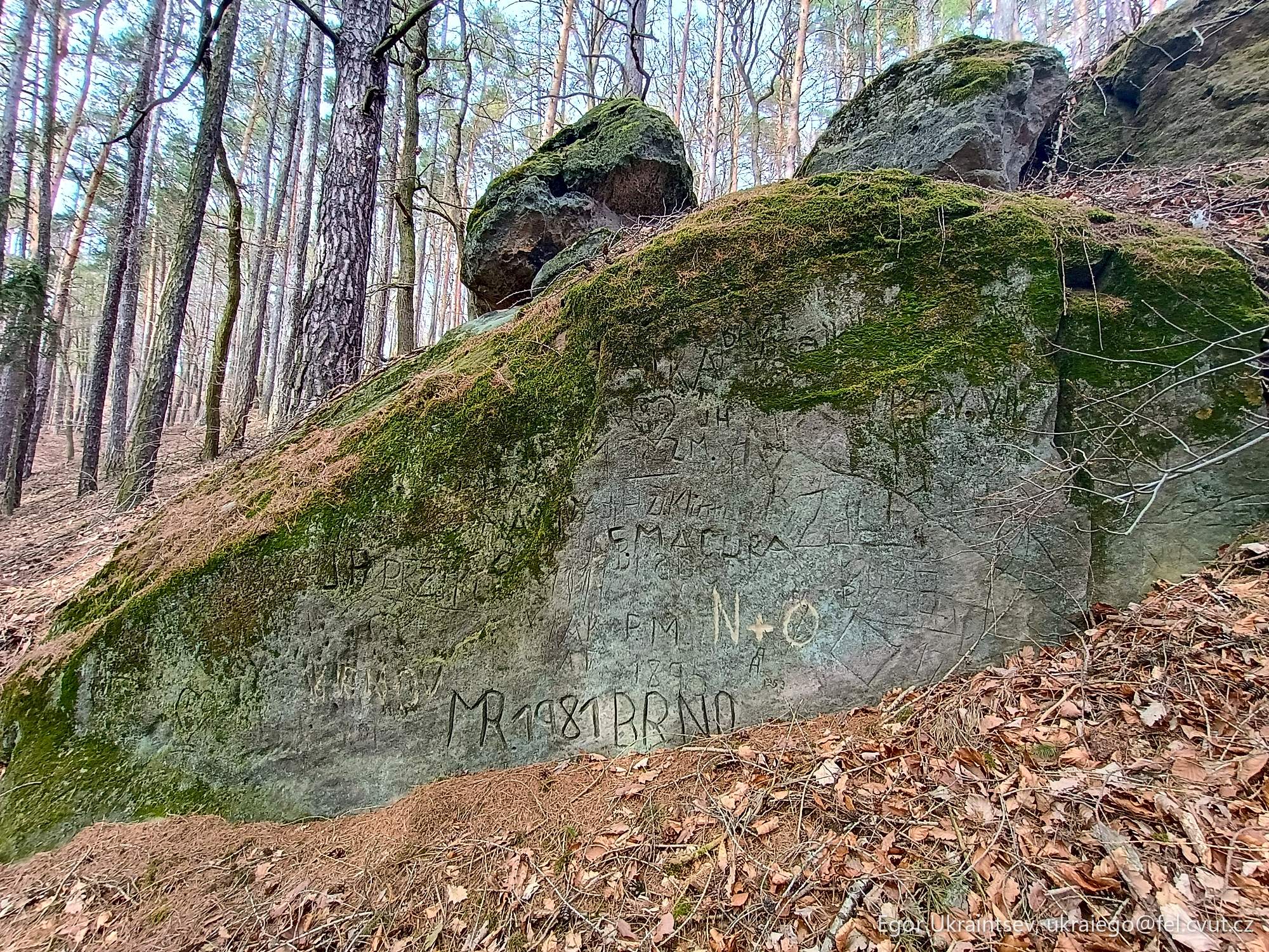 Moss covered rock