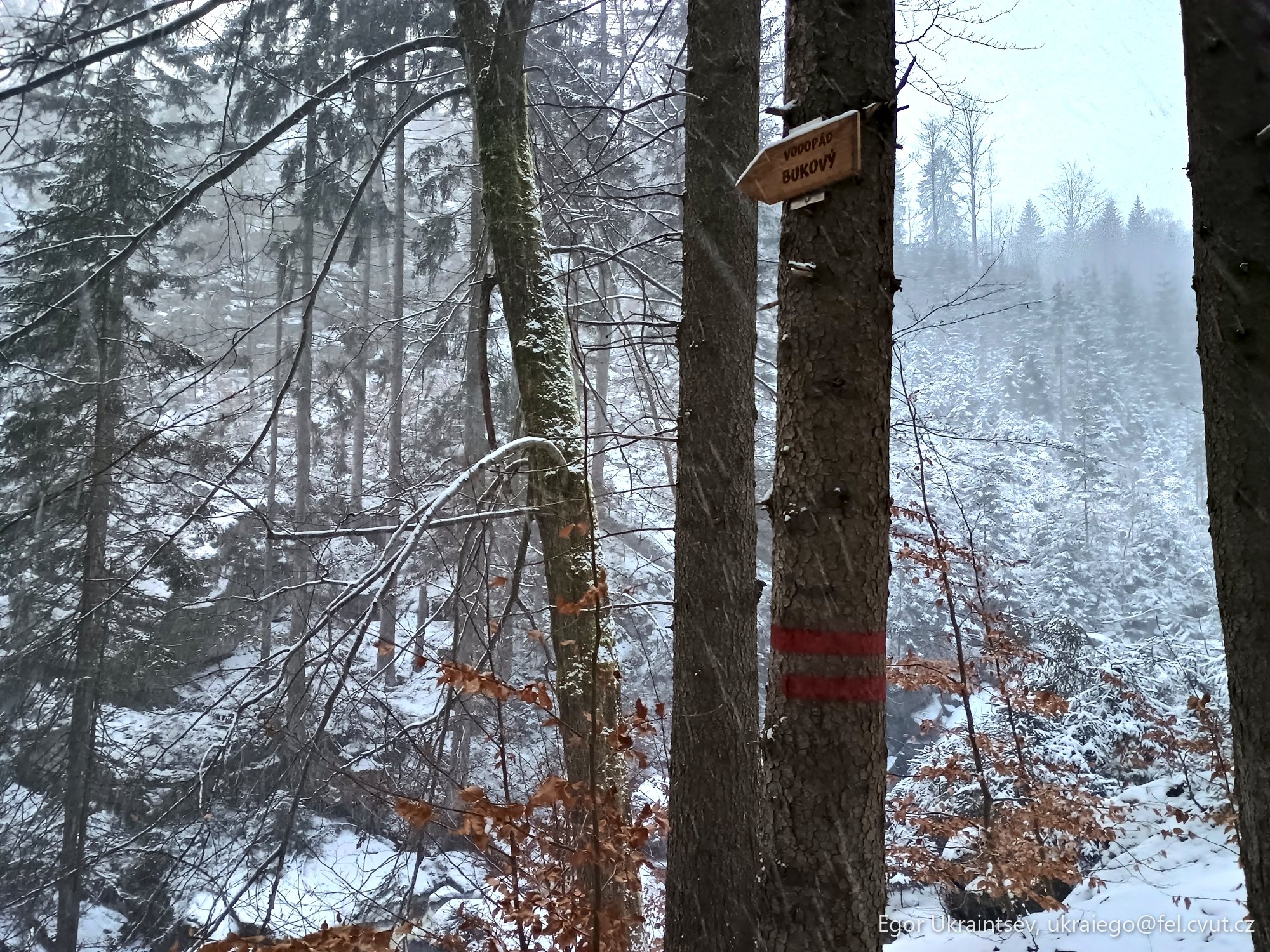 Bird feeder in a snowy