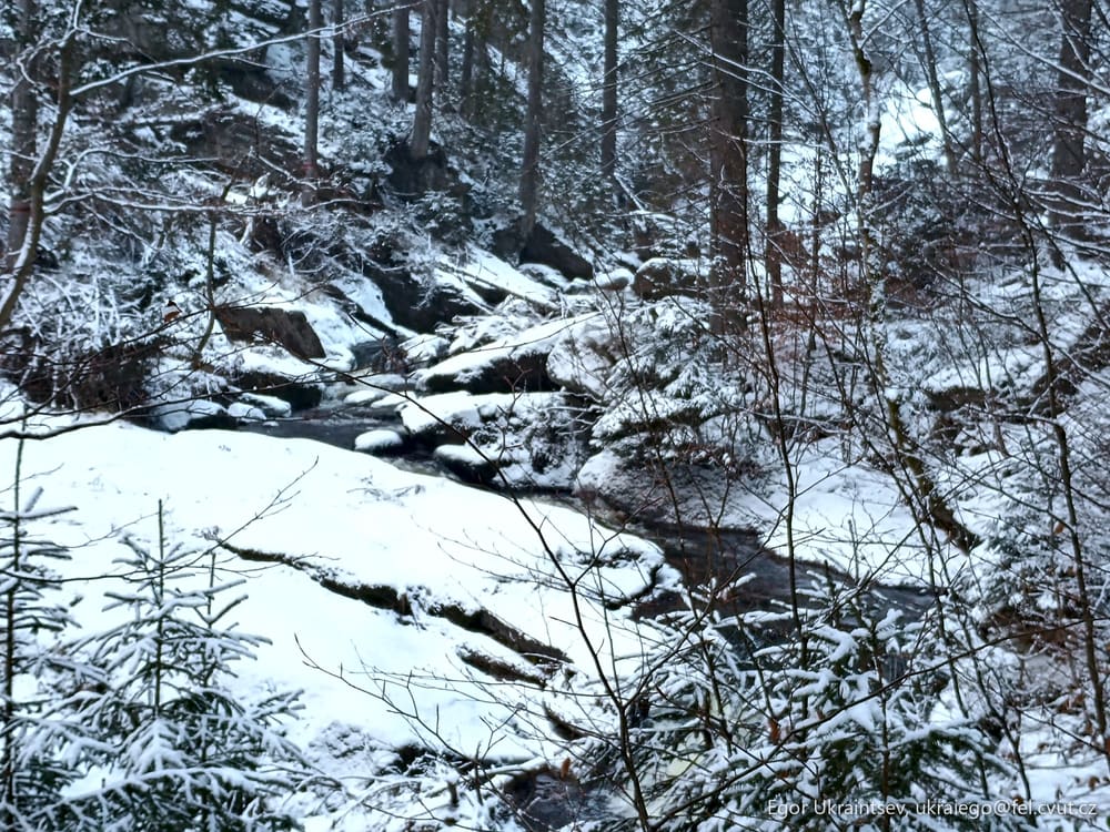 Stream in the snow