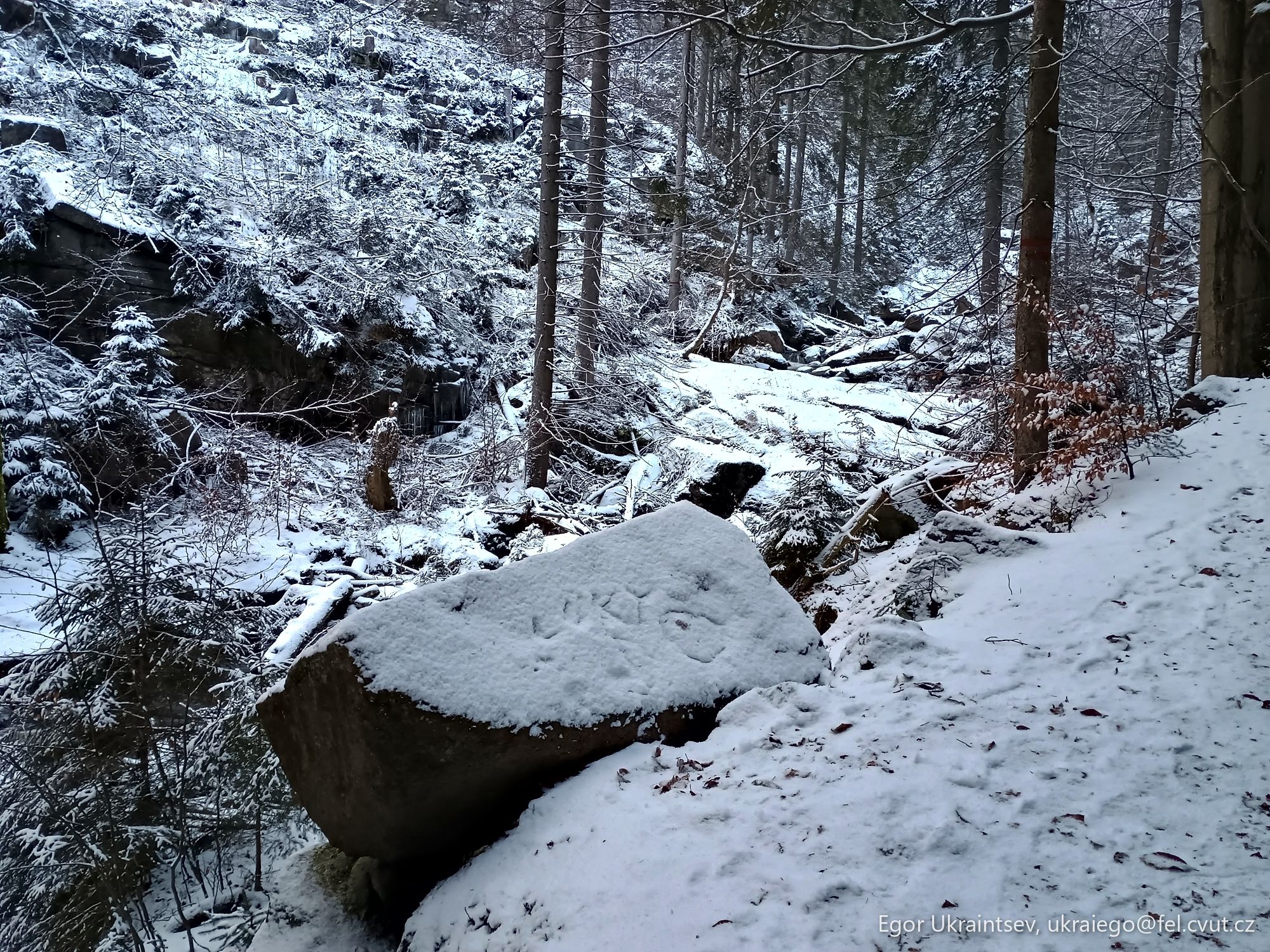 Snow covered stream