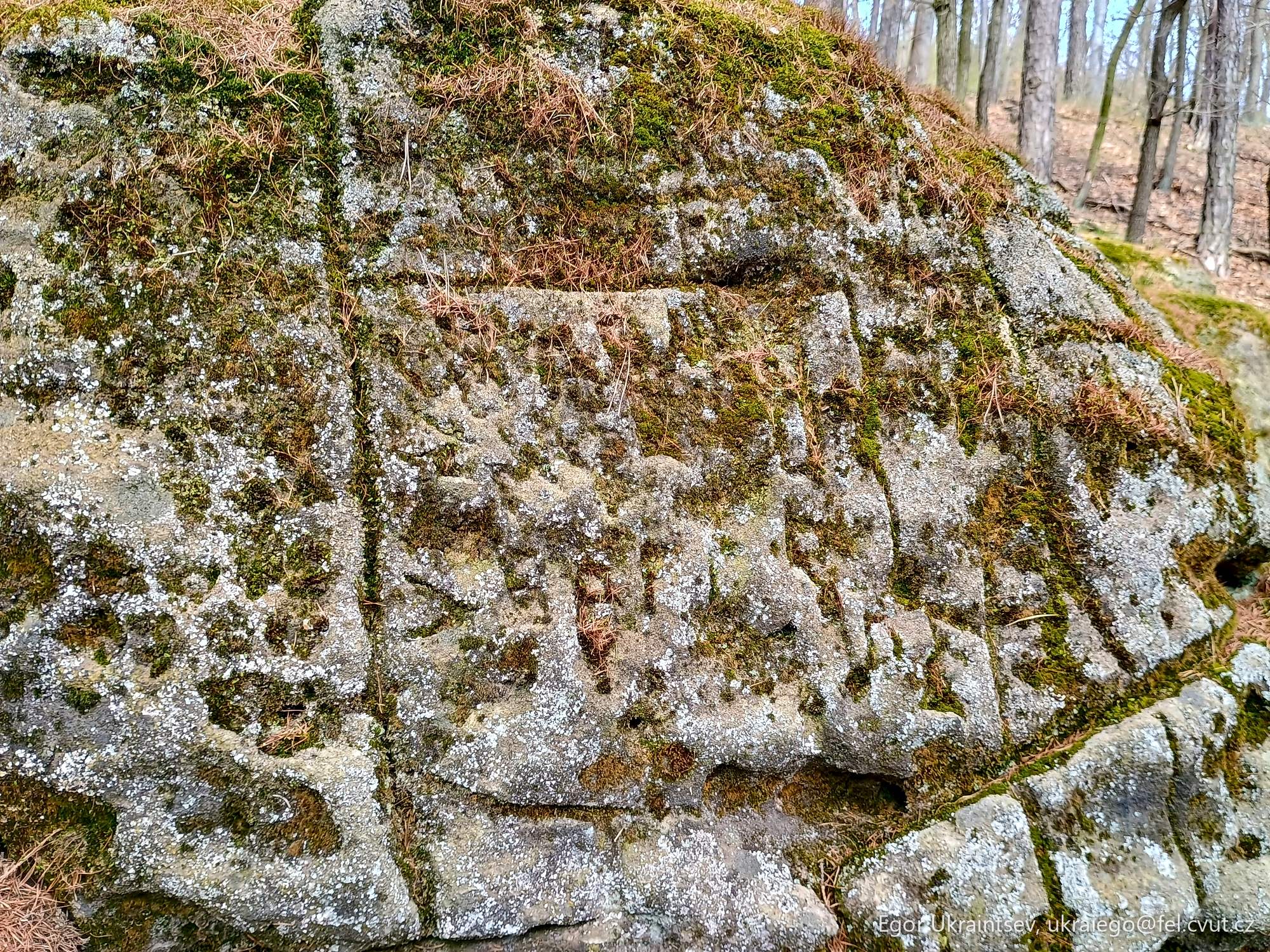 Moss covered rock