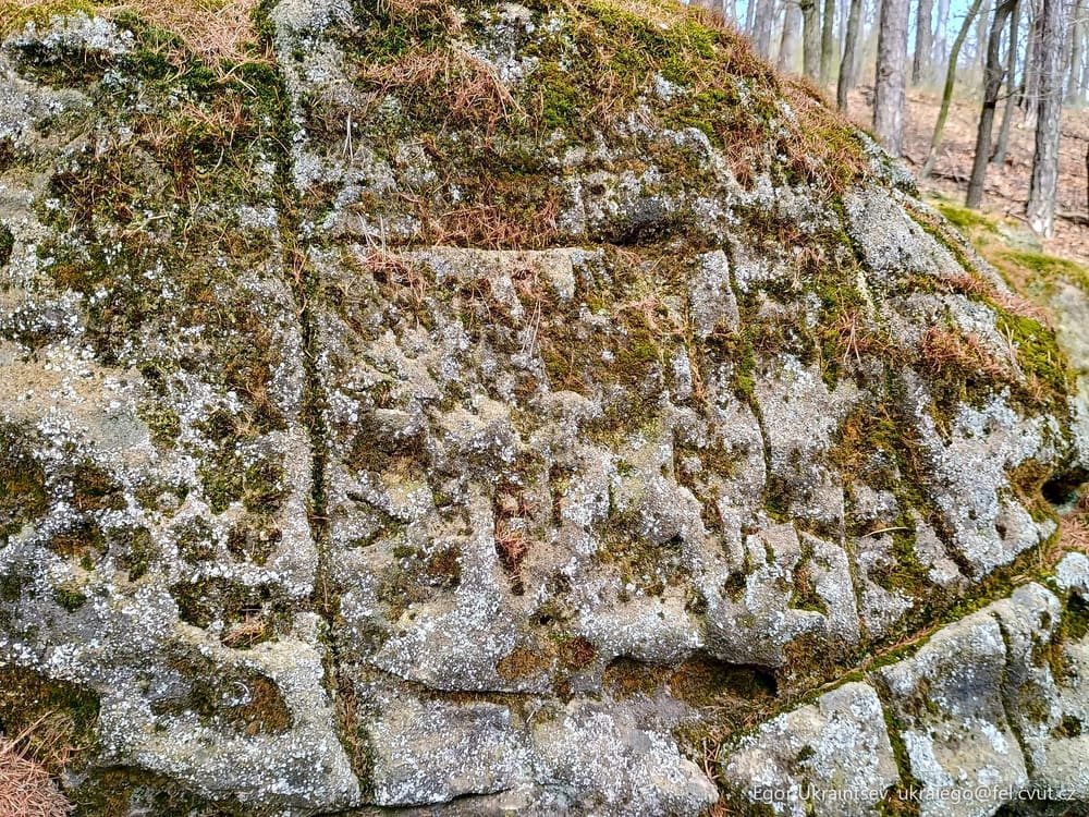 Moss covered rock