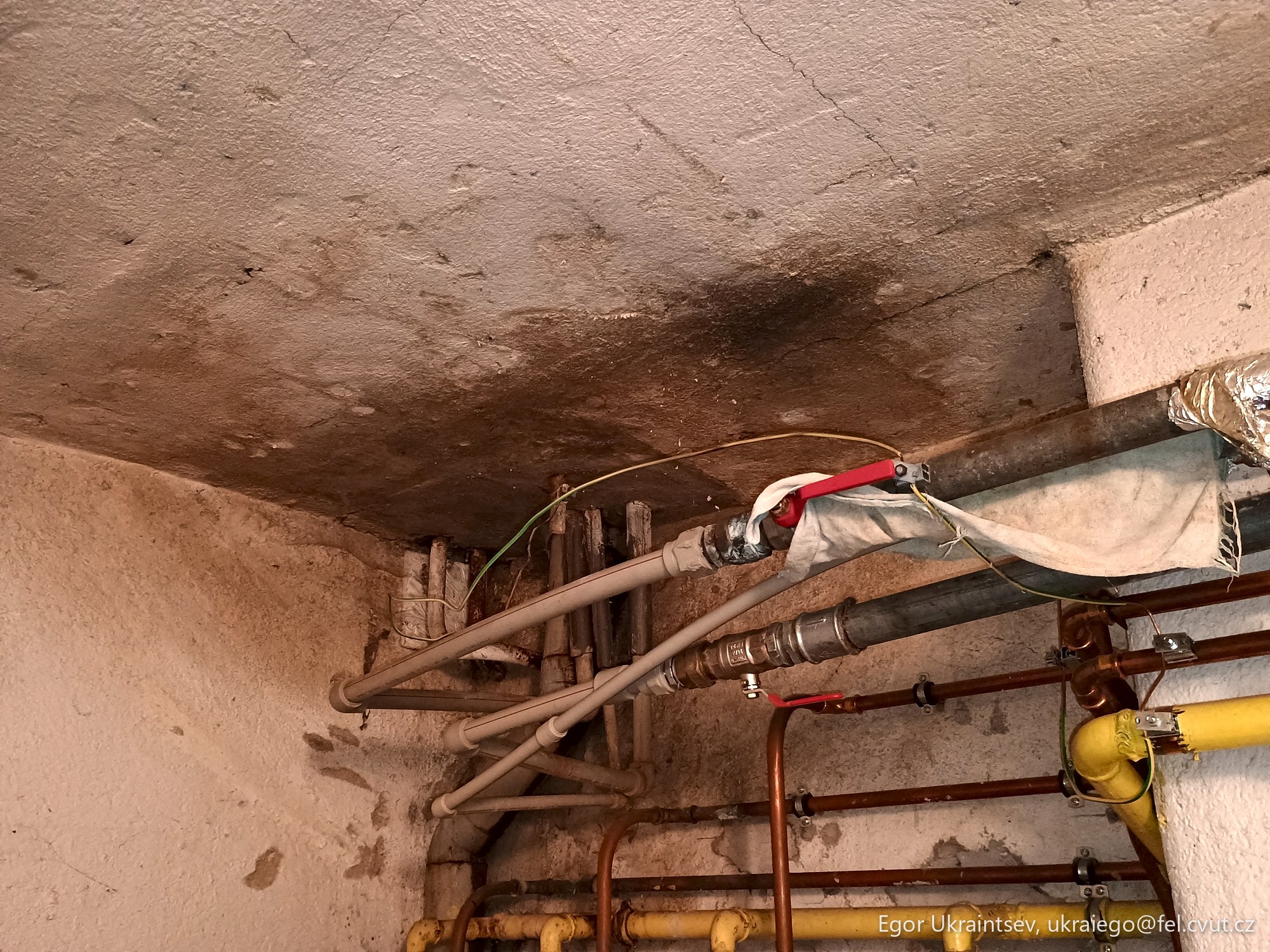 Leaking pipe in a basement