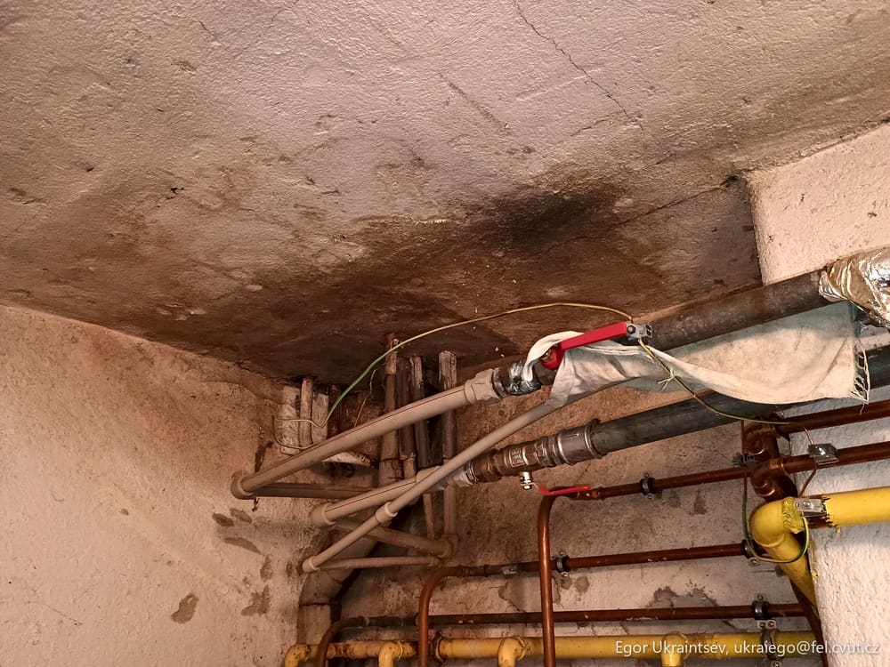 Leaking pipe in a basement