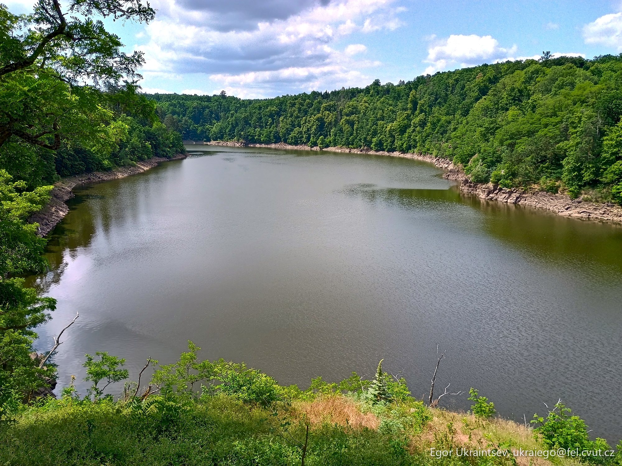 Lake surrounded by trees