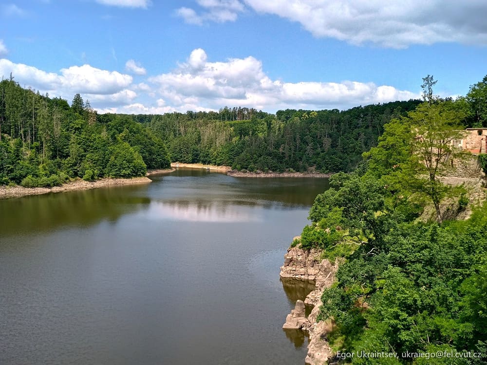 Lake surrounded by trees