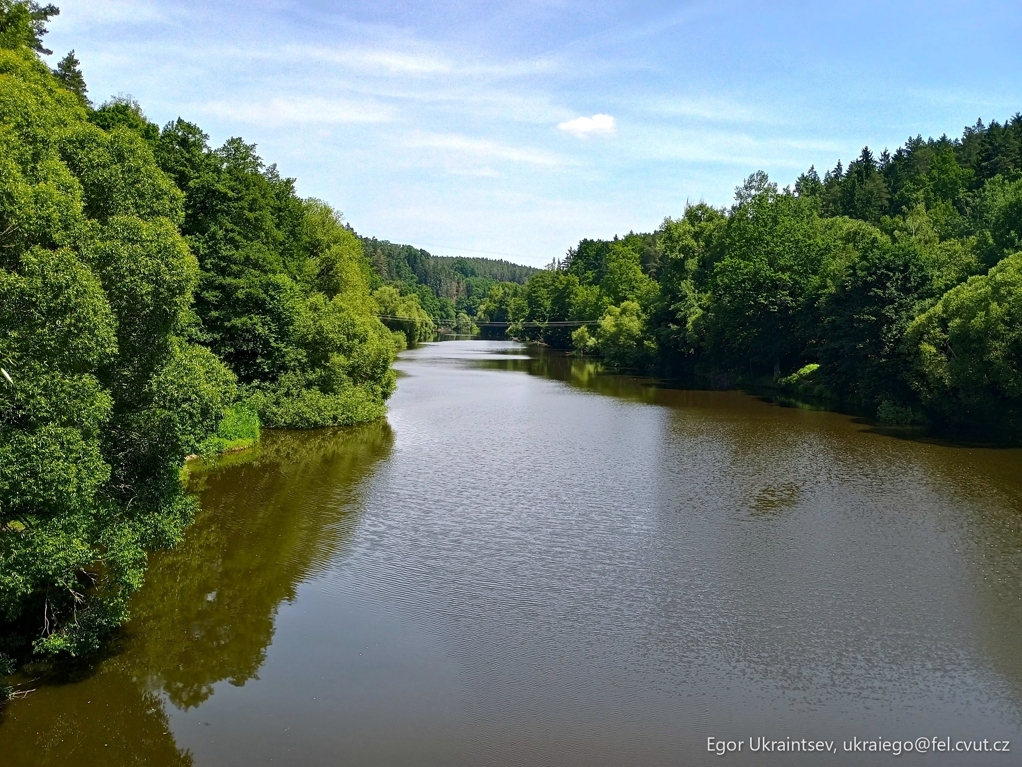 River surrounded by trees