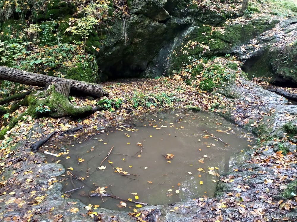 Fallen tree in a stream