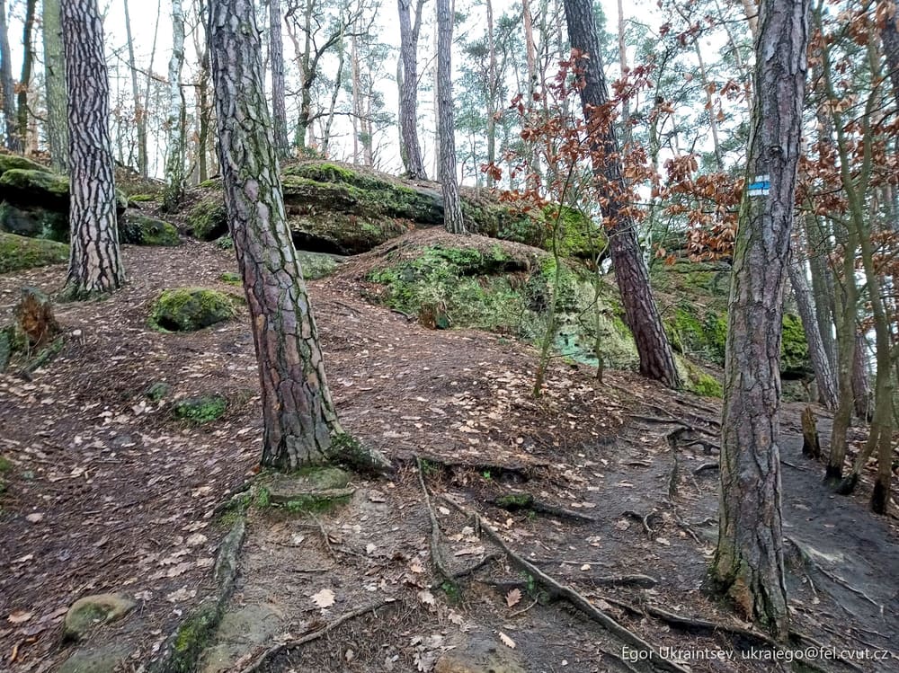 Rocky trail in the great