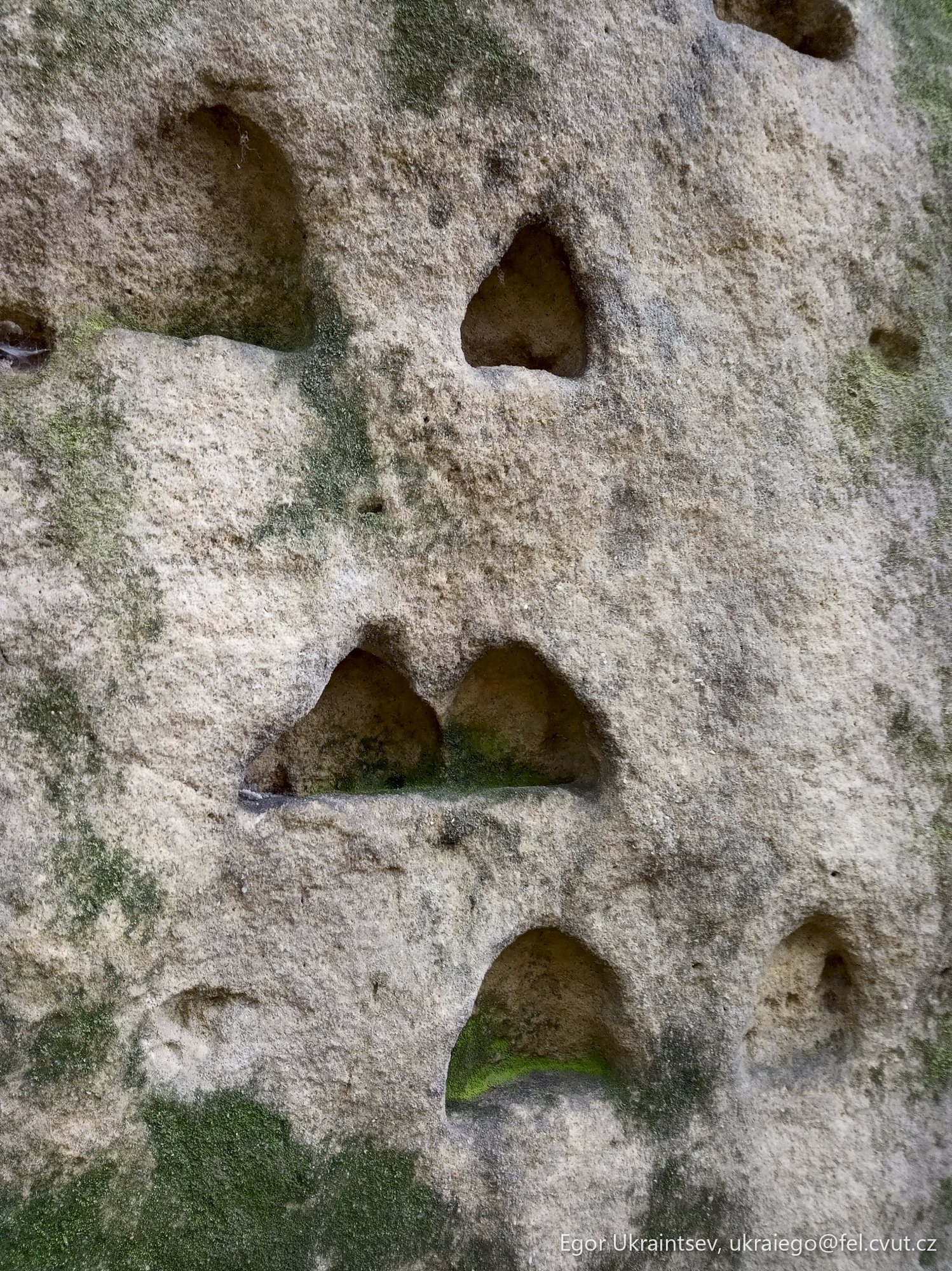 Holes in a rock