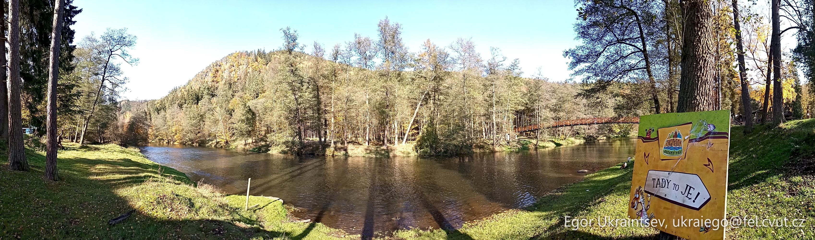Pond in the woods