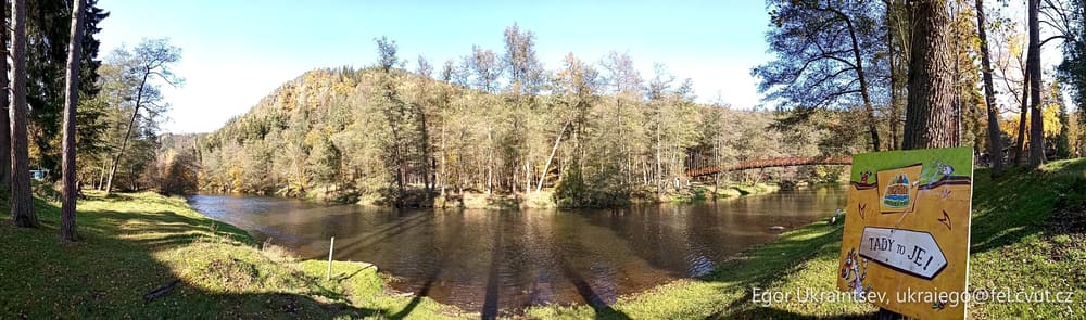 Pond in the woods