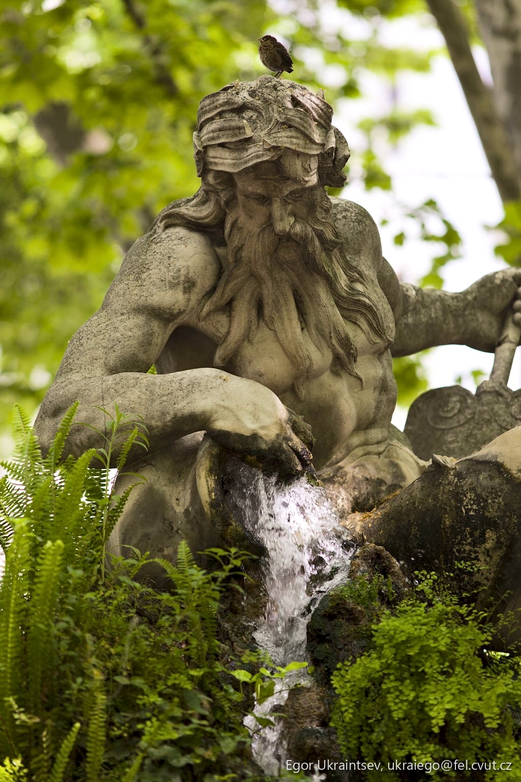 Statue in a garden