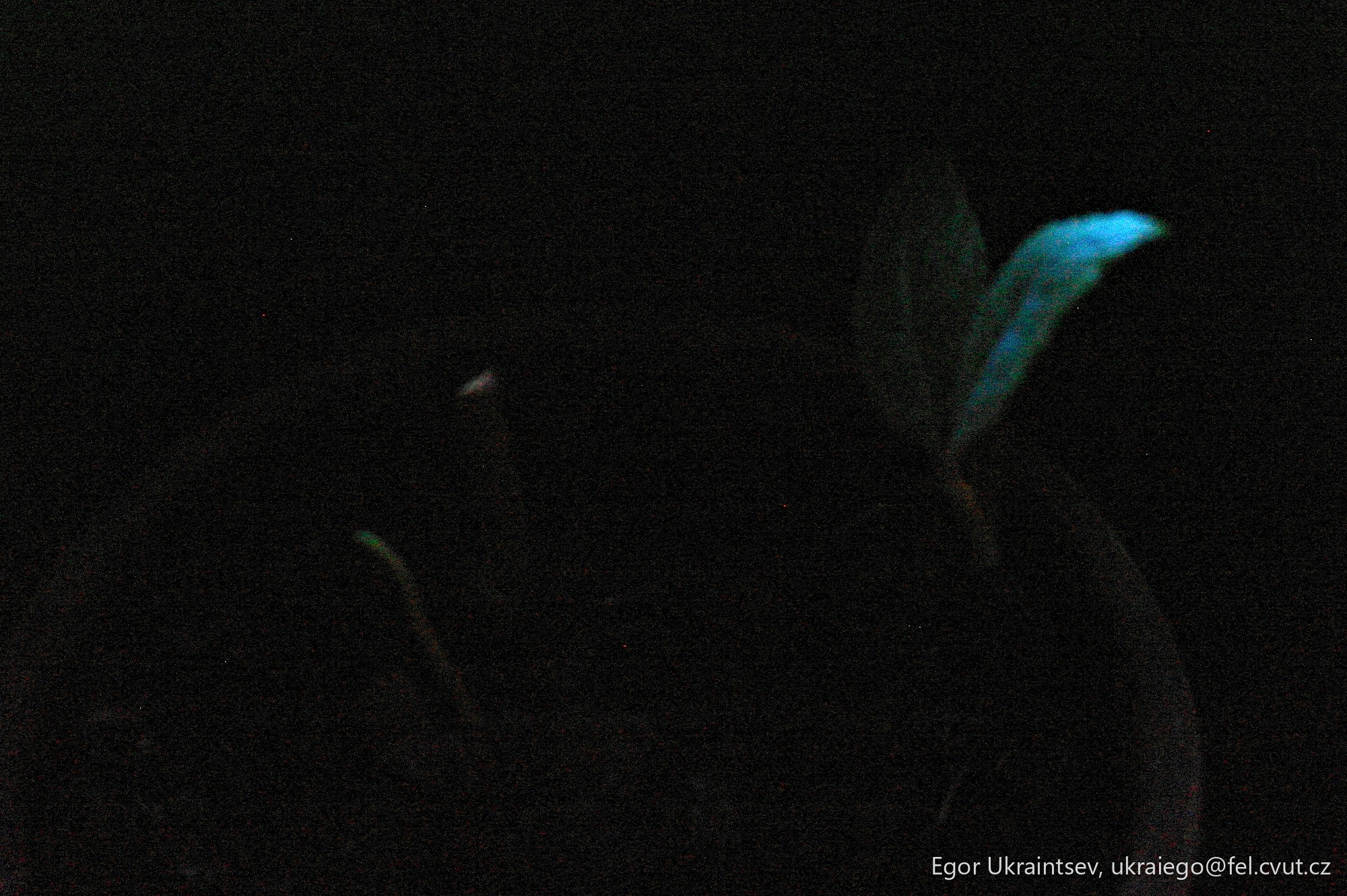 Elephant in the dark