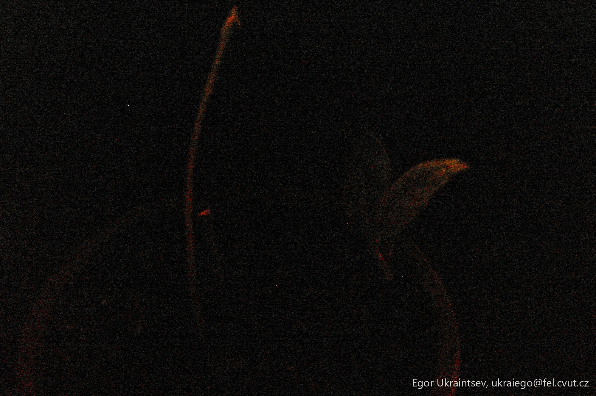 Cat in the dark