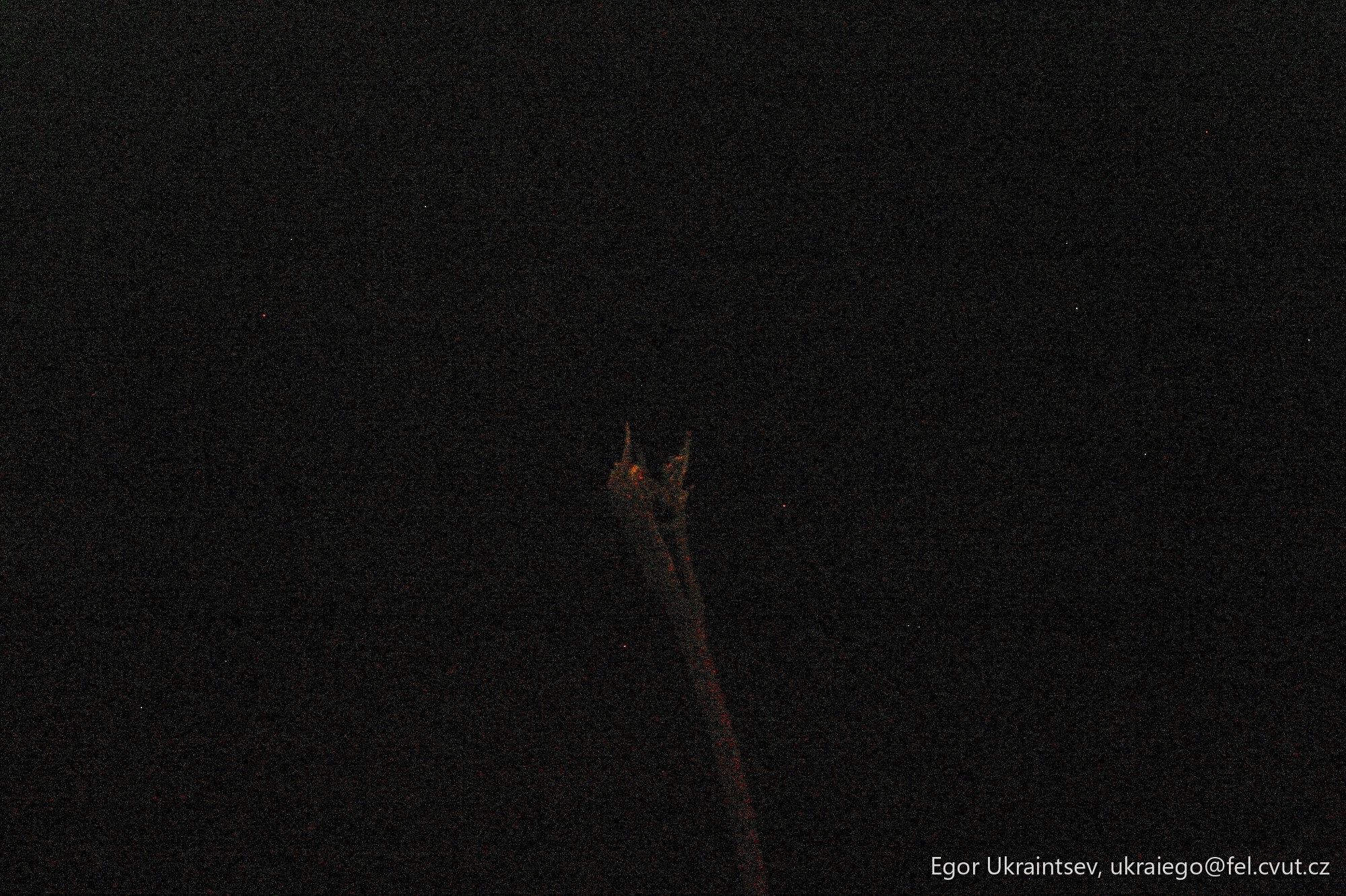 Bird flying in the night