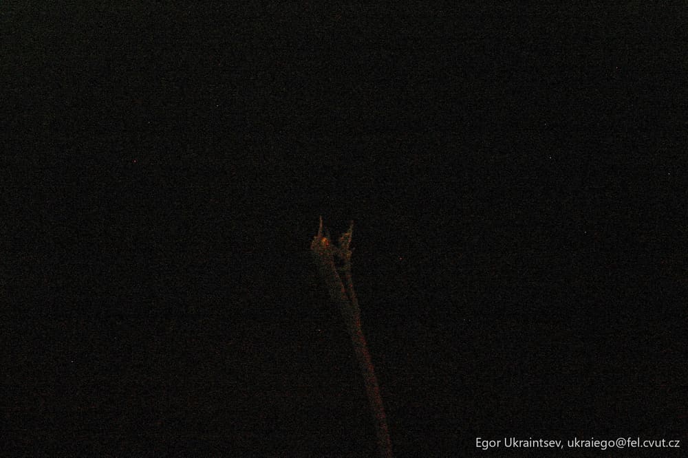 Bird flying in the night