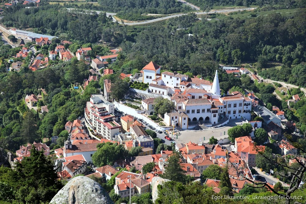 Small town surrounded by trees