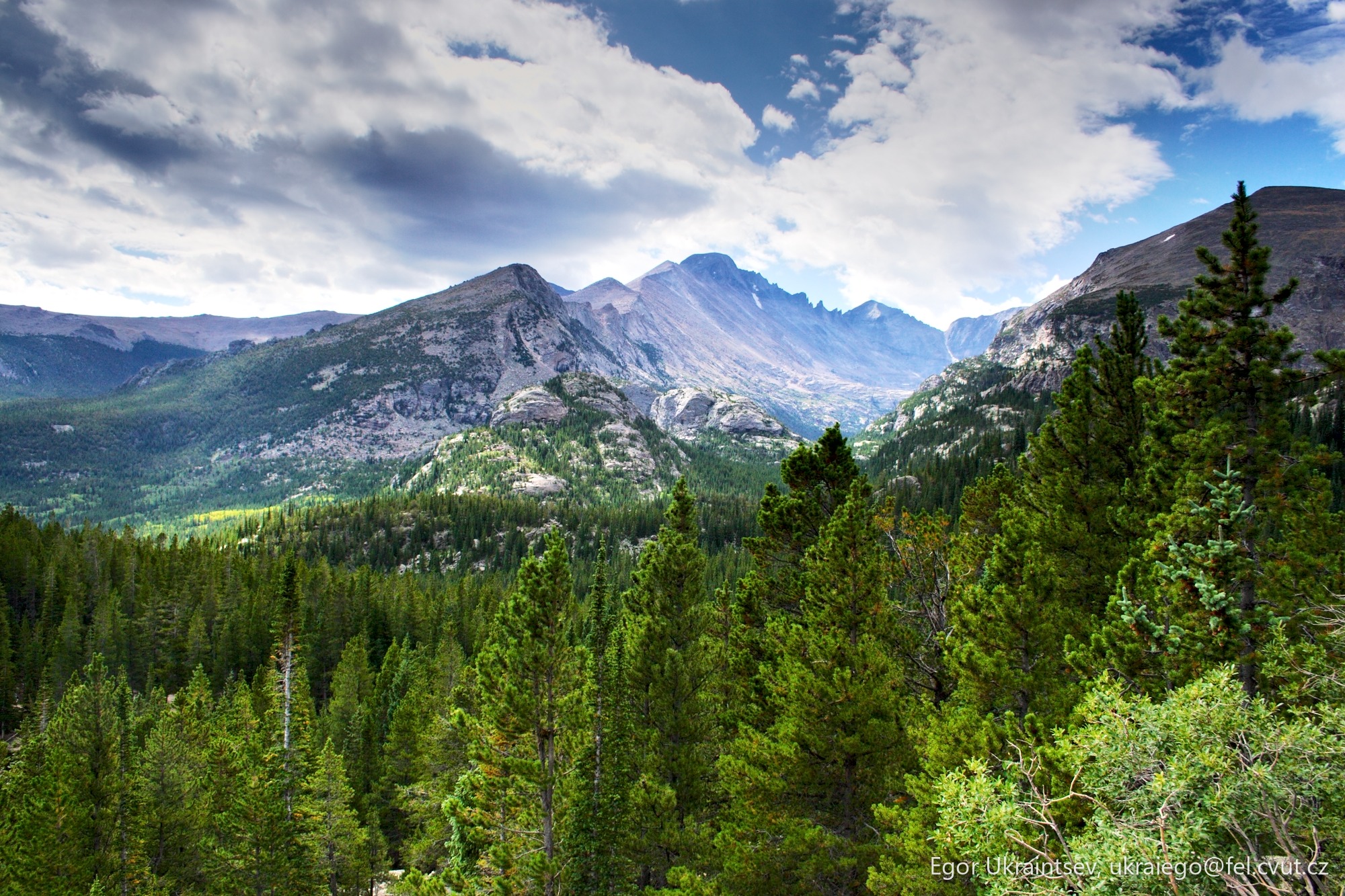 Mountains and trees