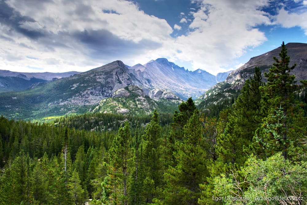 Mountains and trees
