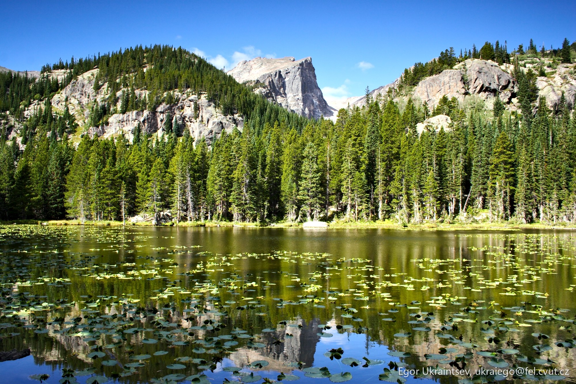 Mountain lake surrounded by trees