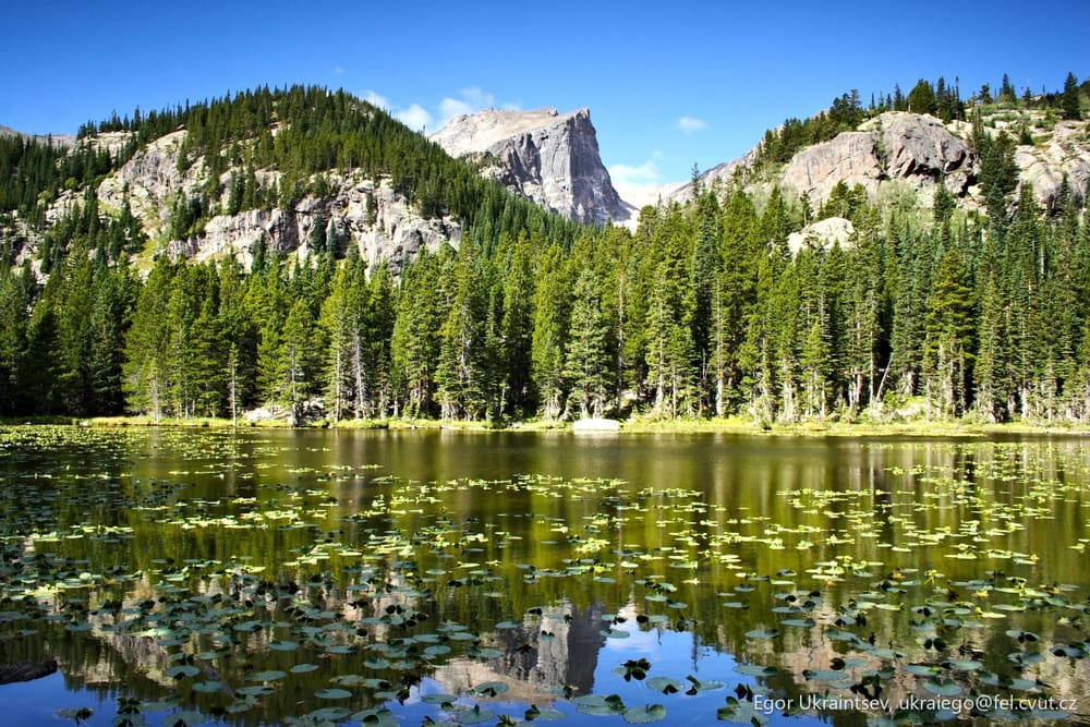Mountain lake surrounded by trees