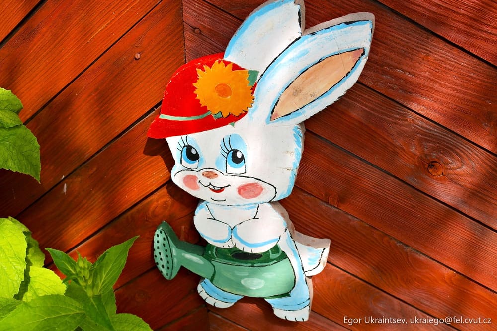 Rabbit with a flower