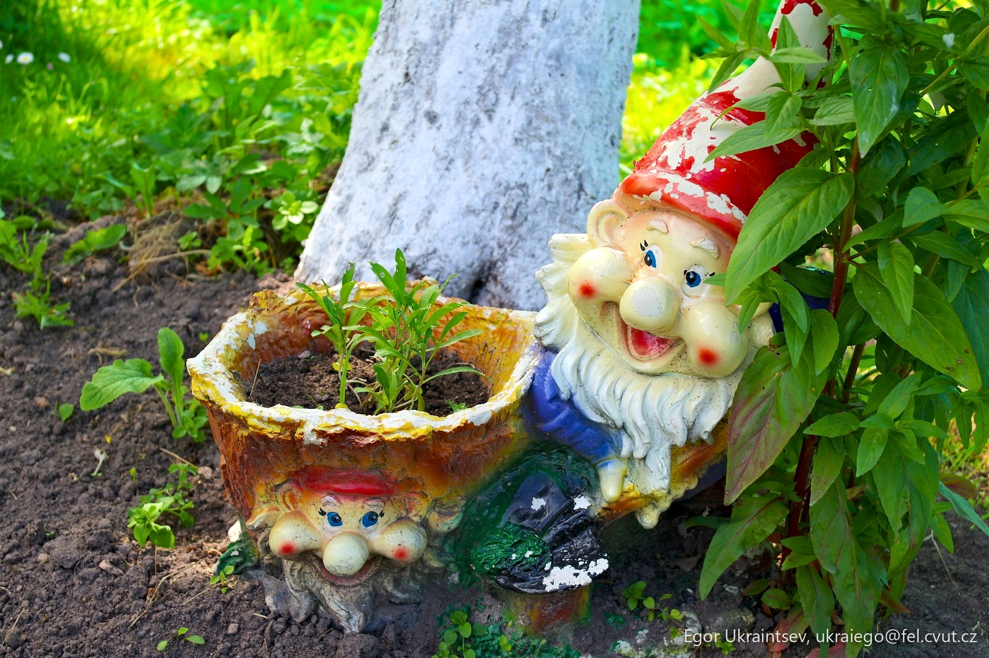 Gnome and a planter