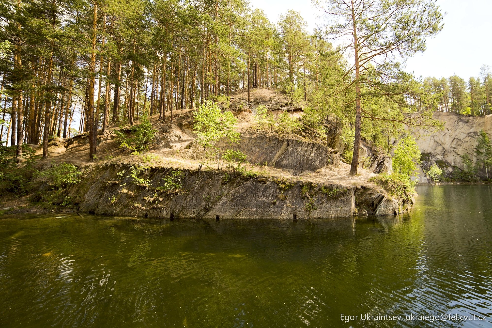 Lake surrounded by trees