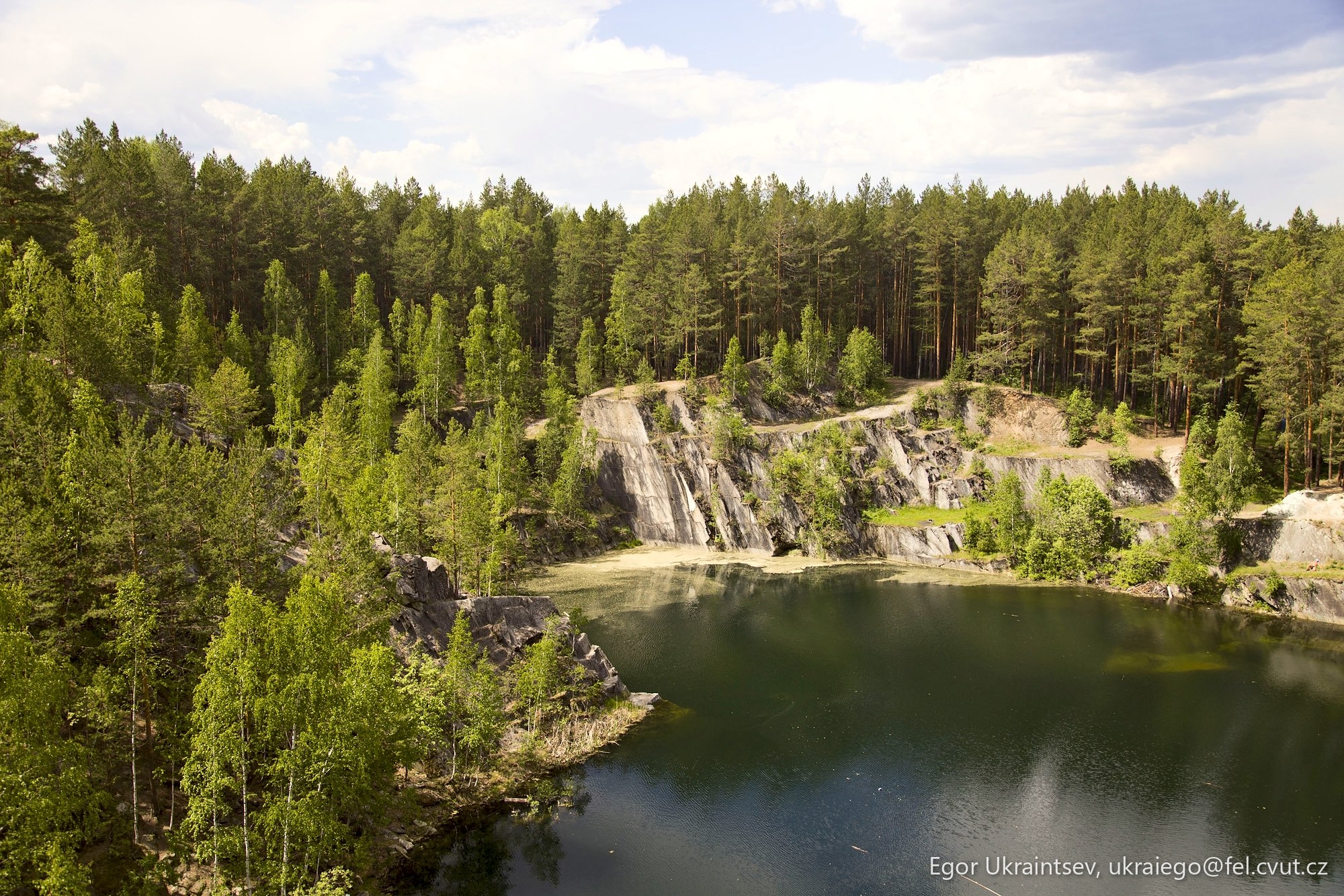 Lake surrounded by trees