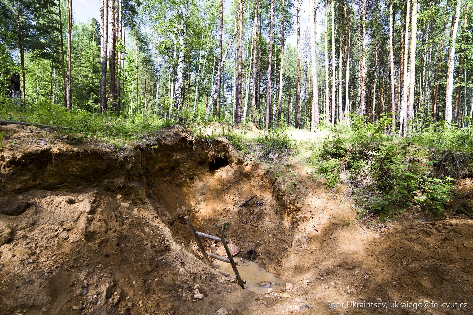 Dirt pit in the forest