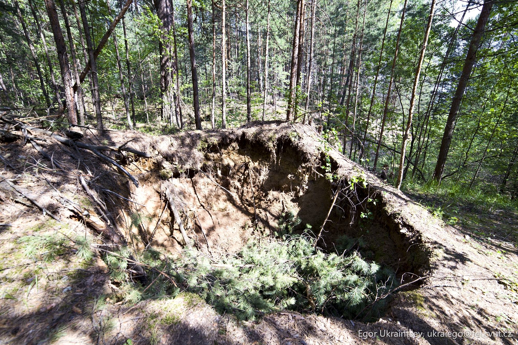 Hole in the forest