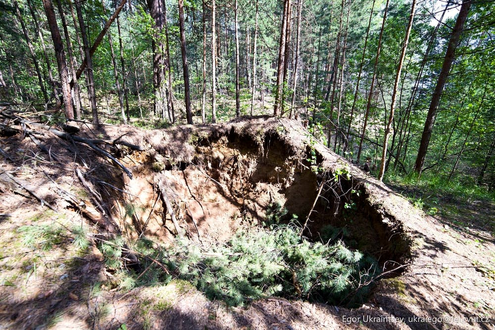 Hole in the forest