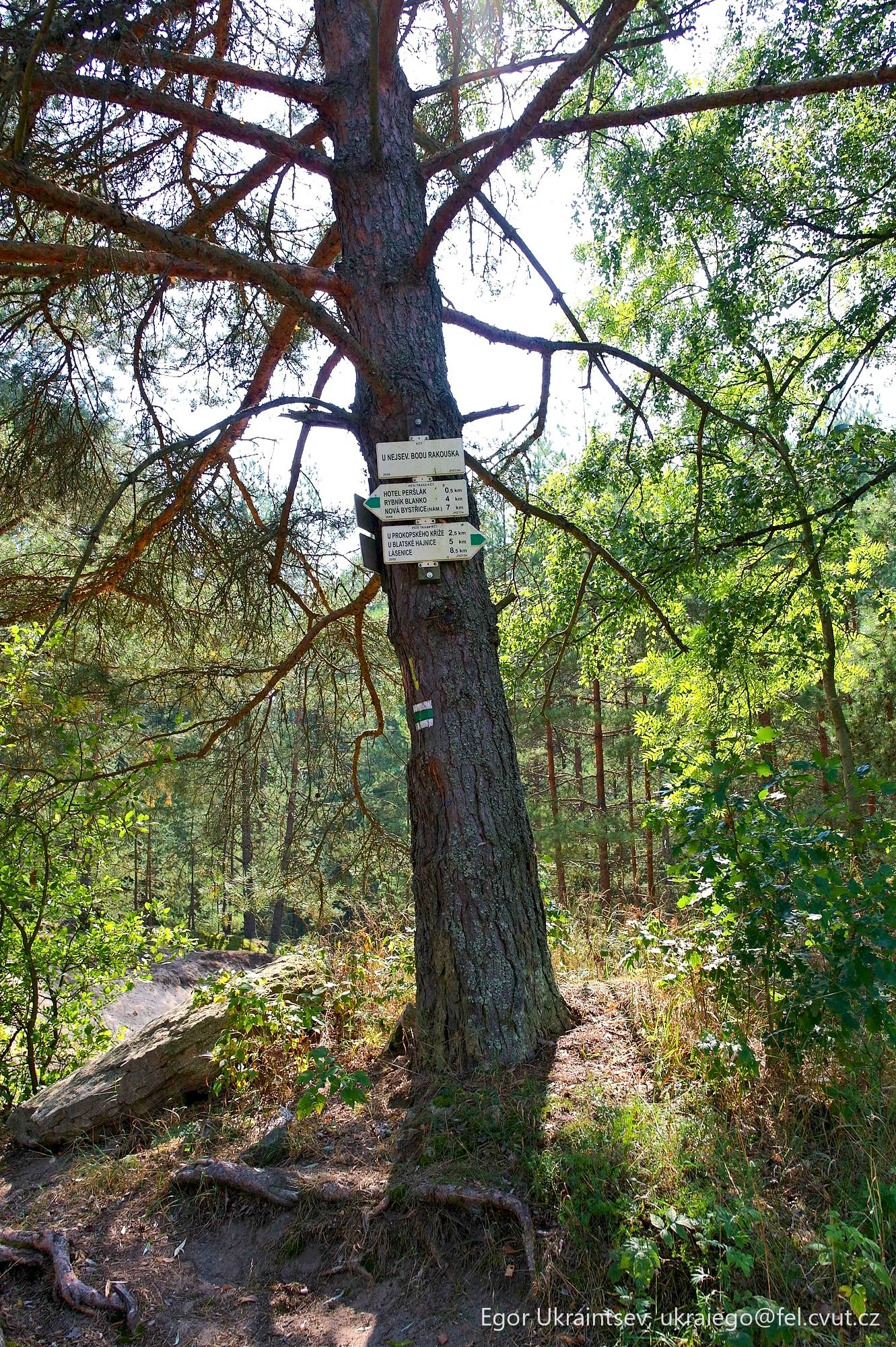 Trail sign on a tree