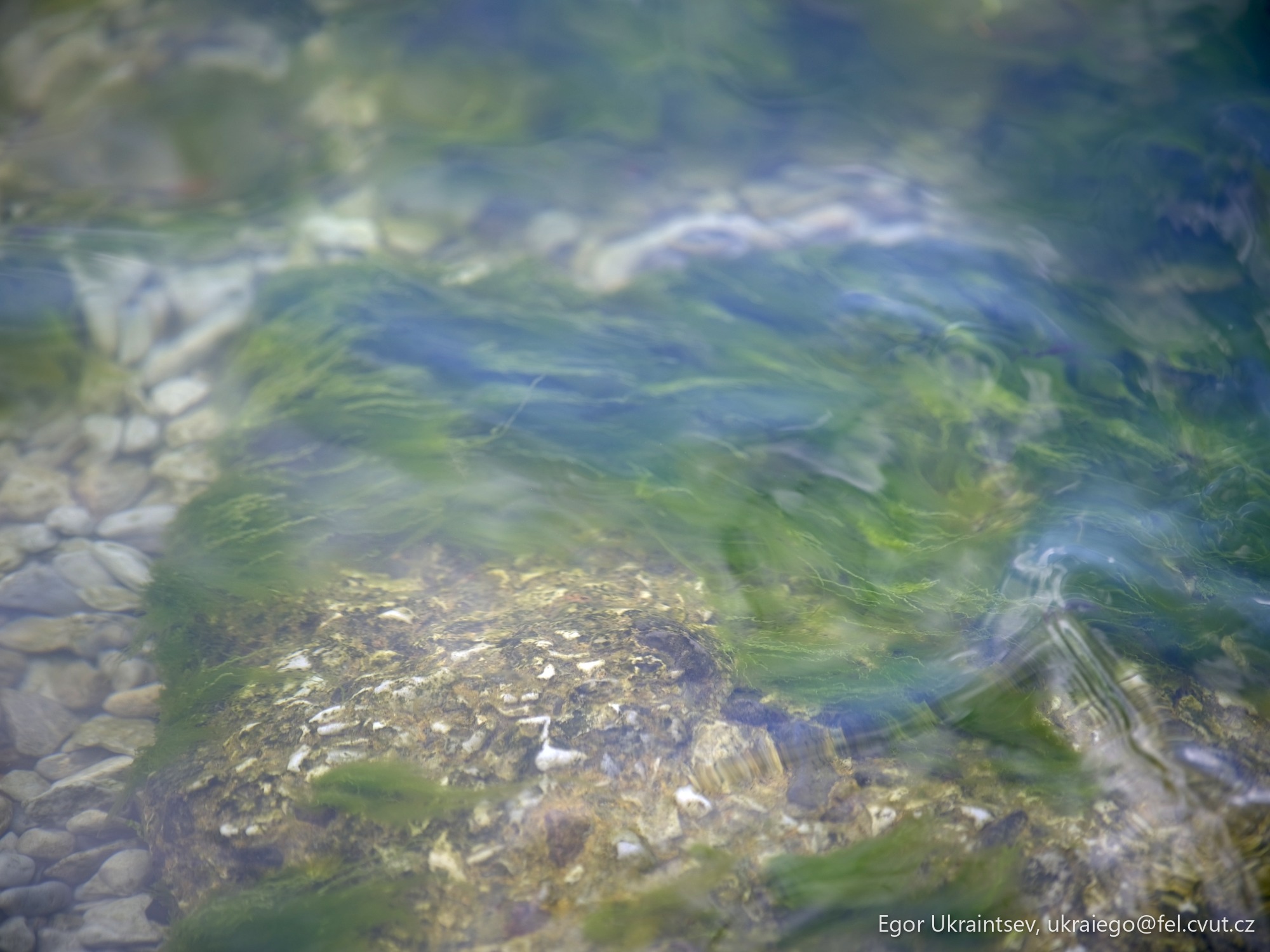 Water and rocks