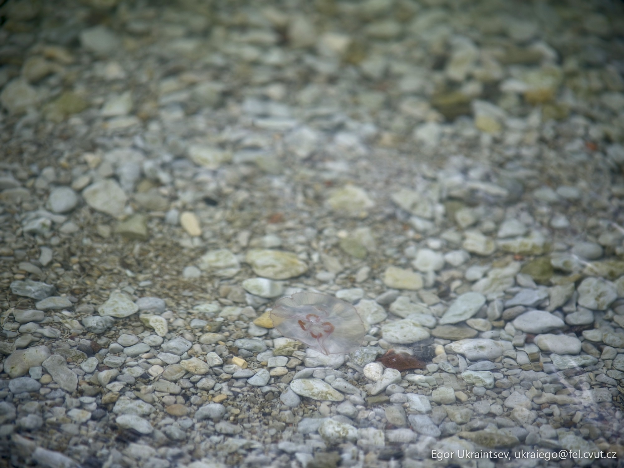 Rocks and gravel