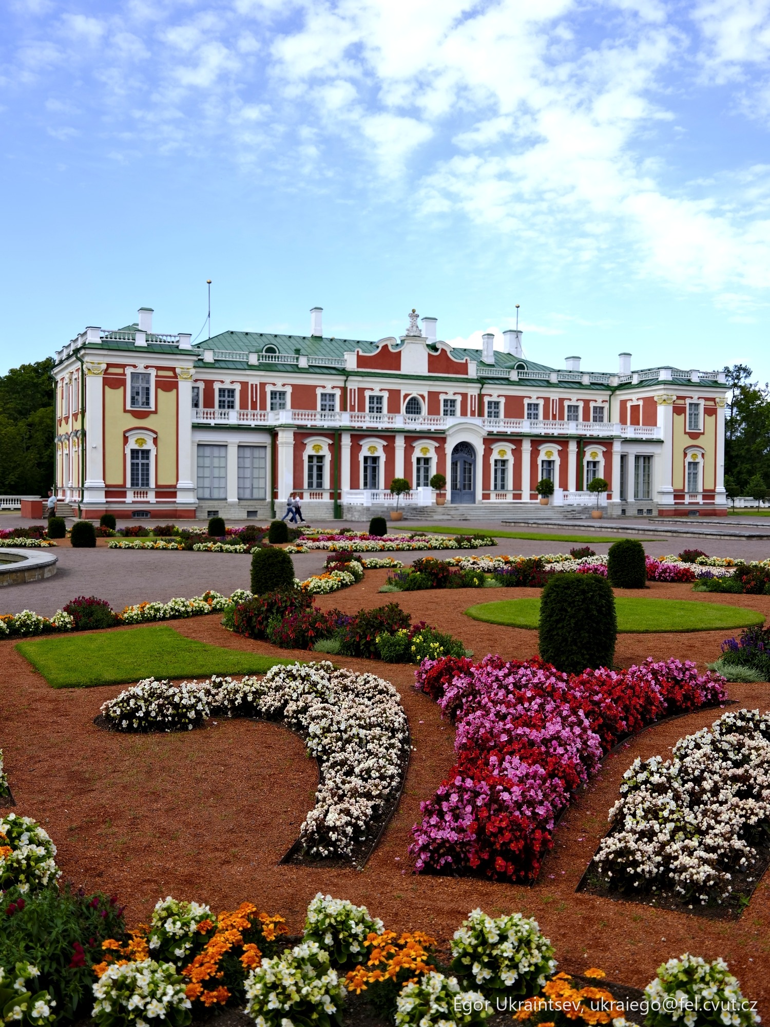 Beautiful garden with flowers