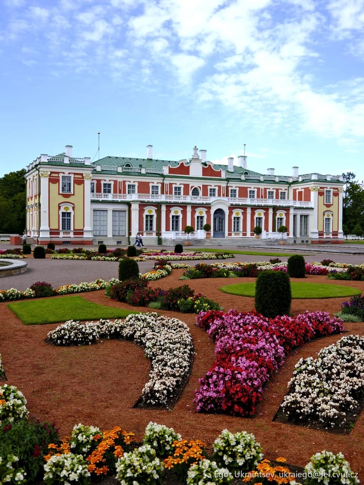 Beautiful garden with flowers