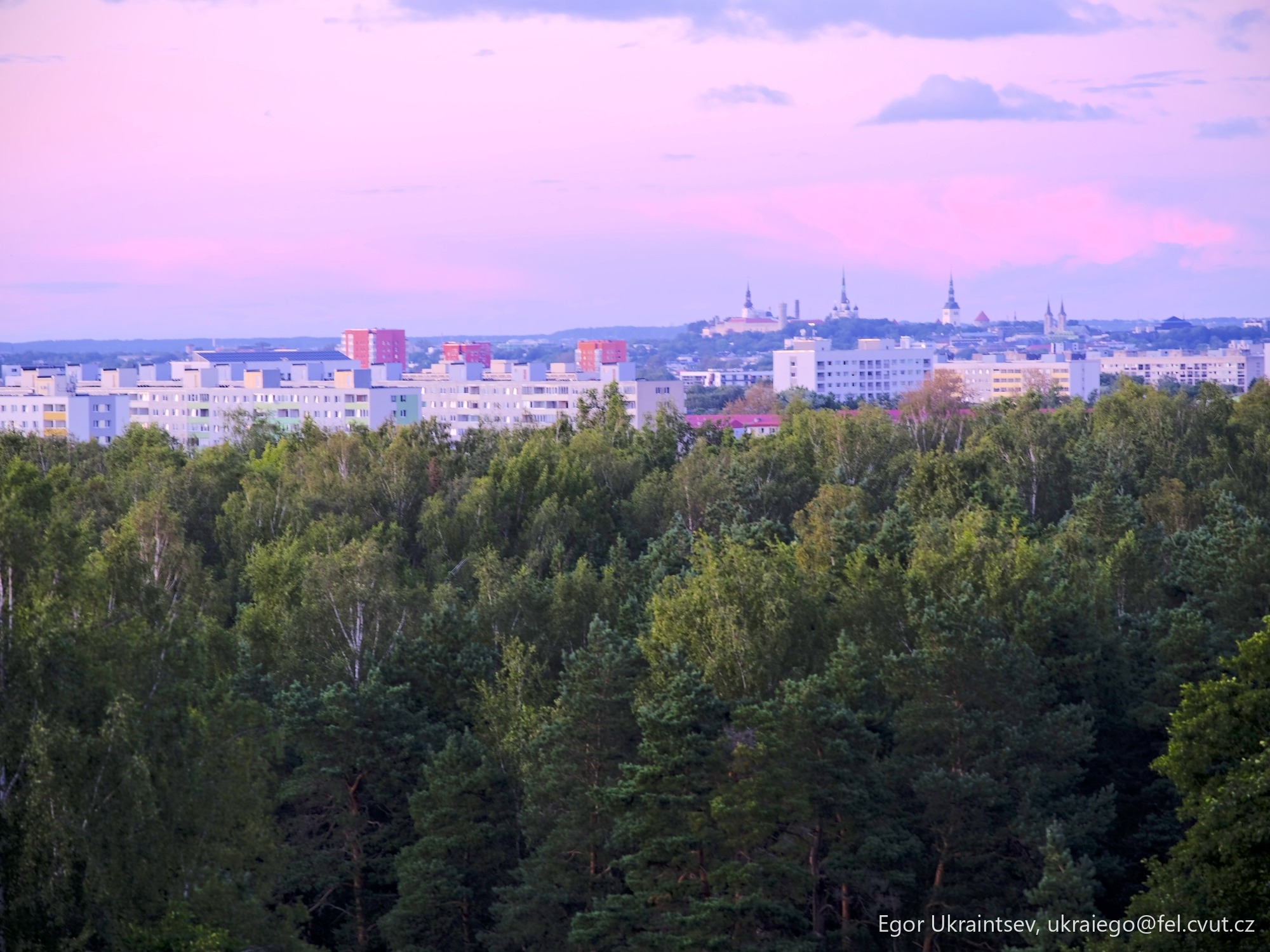 City with trees