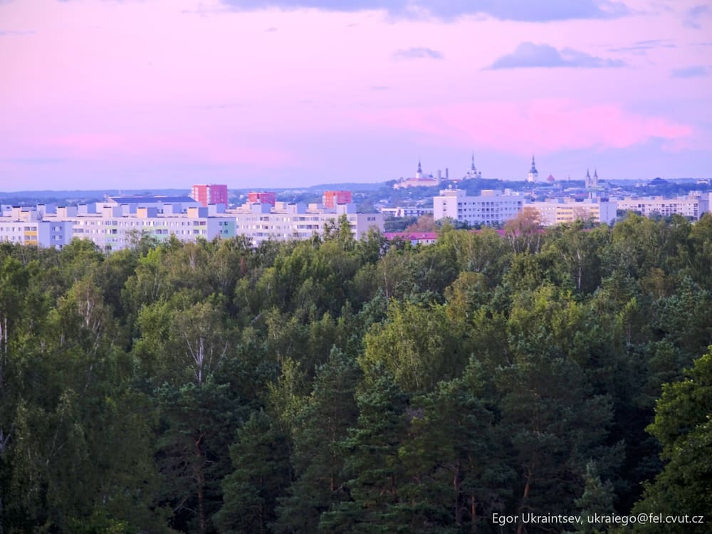 City with trees